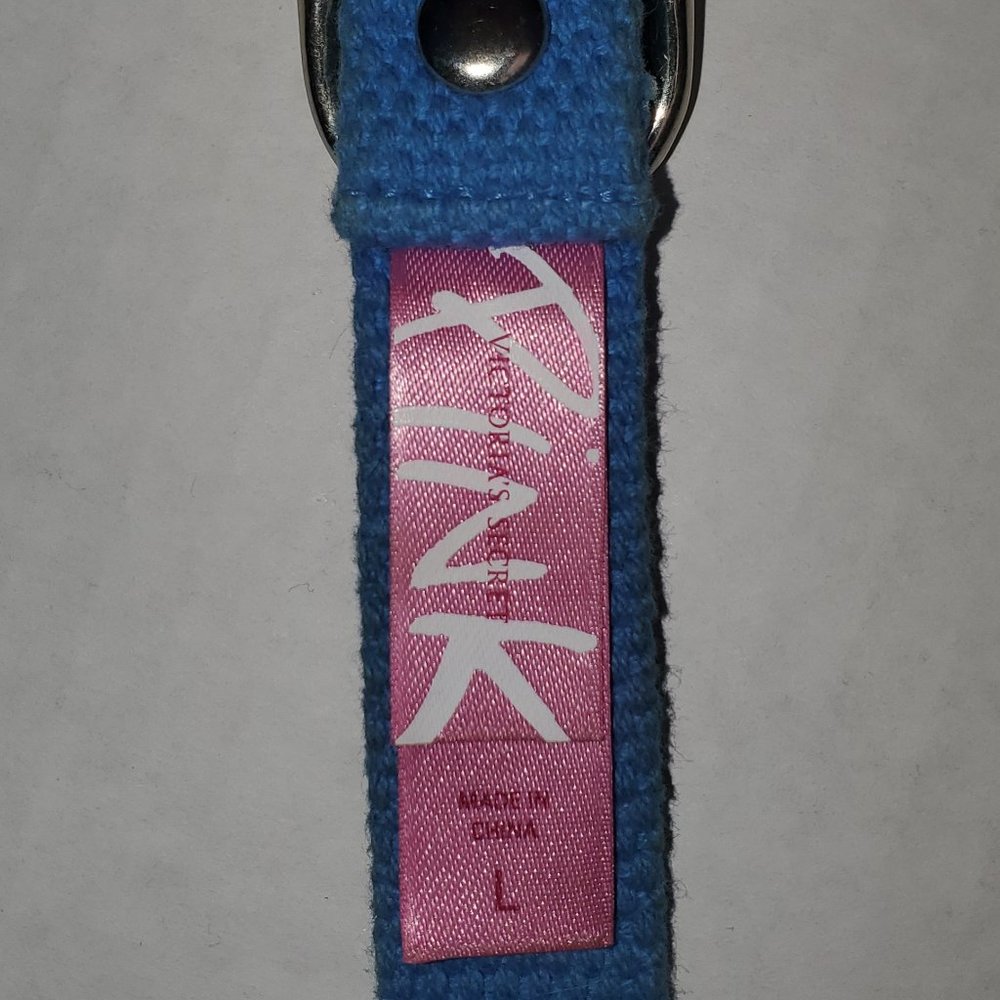 HTF Victoria Secret Pink RARE Dog Collar Vintage 2000's Aqua Blue Sooo Pretty - Picture 5 of 10